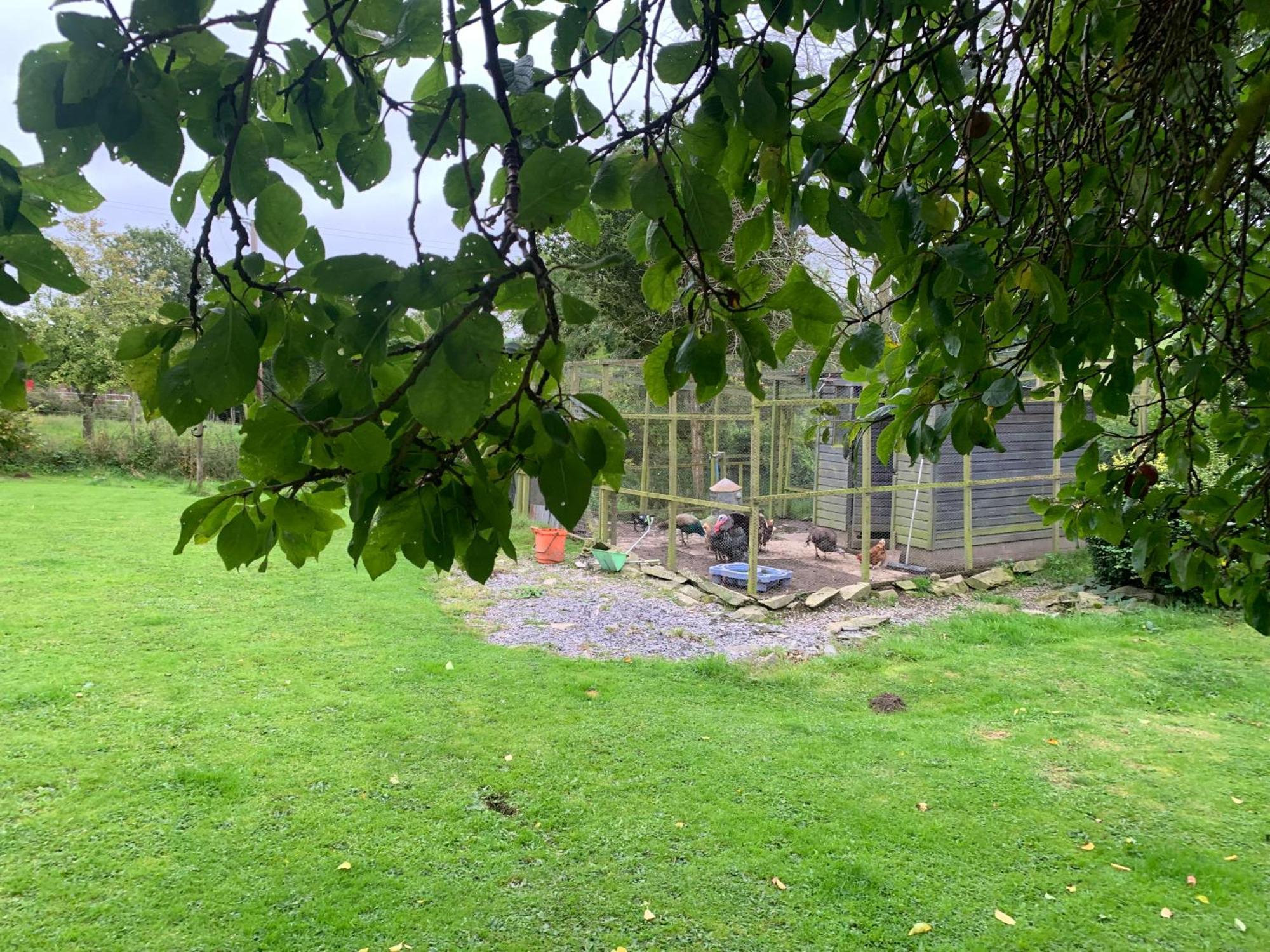 Stunning 2-Bed Cabin In Nantglyn Denbigh Exteriör bild
