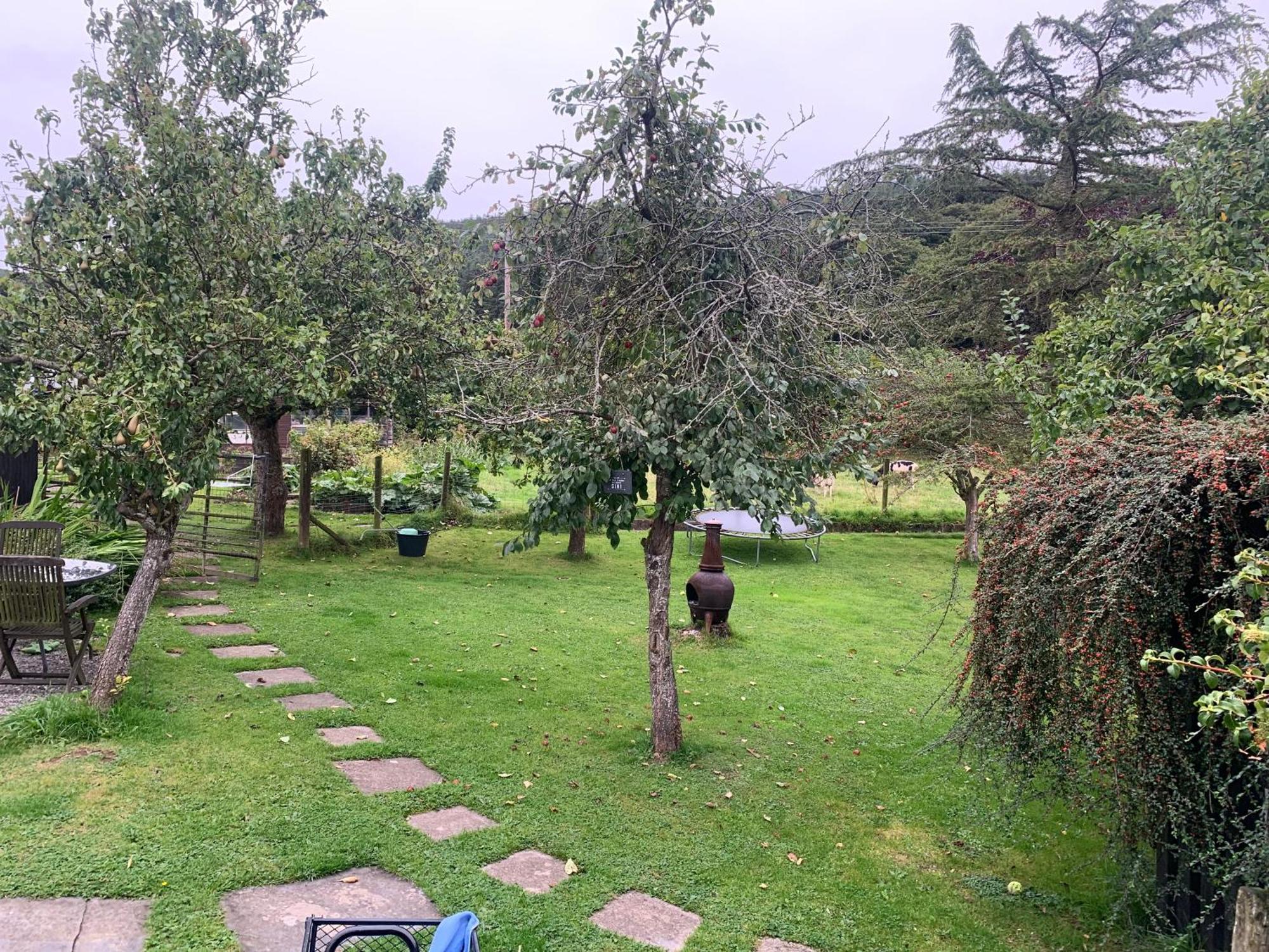 Stunning 2-Bed Cabin In Nantglyn Denbigh Exteriör bild