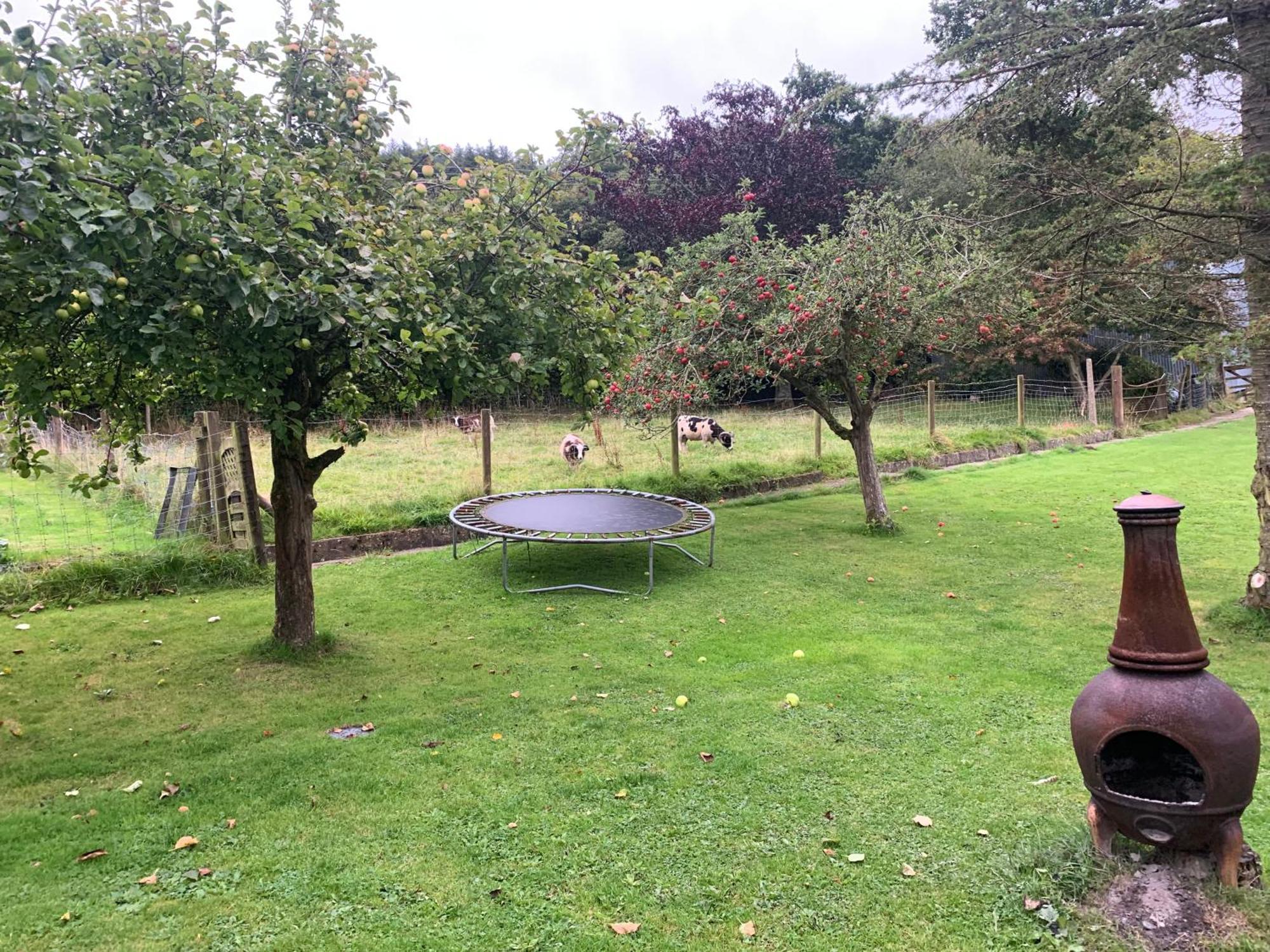 Stunning 2-Bed Cabin In Nantglyn Denbigh Exteriör bild